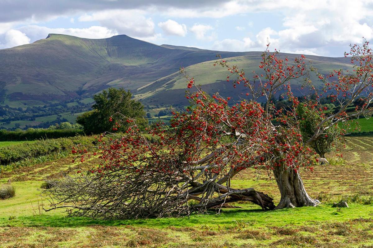 Picturesque 2 Bedroom Miners Cottage Near Bike Park Wales & Brecon Beacons Merthyr Tydfil Ngoại thất bức ảnh